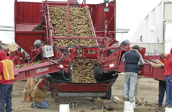 WEMCO Self-Propelled Potato Harvester